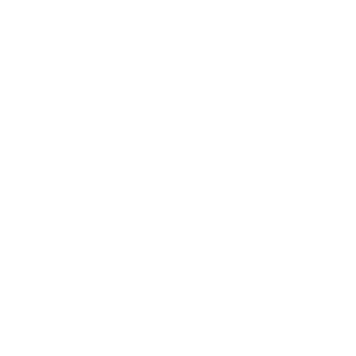 X (Twitter)